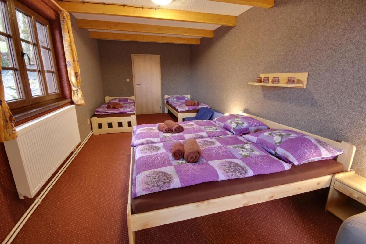 Penzion Harry Na Sjezdovce Krkonose Vysoké nad Jizerou Εξωτερικό φωτογραφία